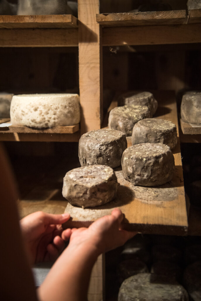 Concours de Machines OFF vélos cargo